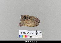 藏品(中國湖北皮影戲盔帽)的圖片